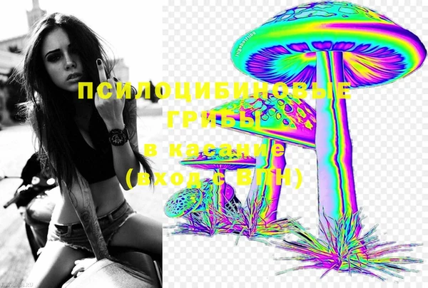дмт Медногорск